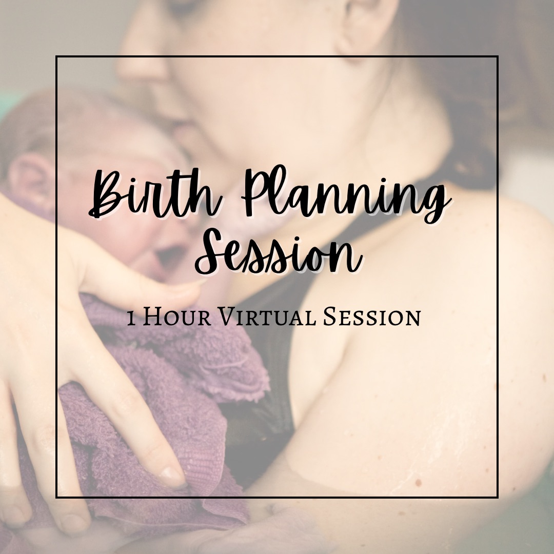 Birth Planning Session