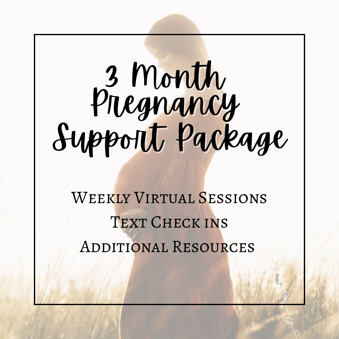 3 Month Pregnancy Support Package